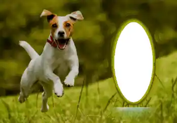 Foto-effetti della categoria Vari № 68744 Foto-effetti della categoria Vari № 68744