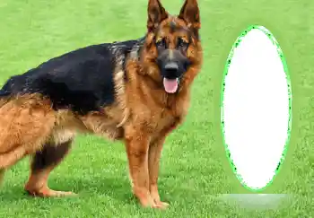 Foto-effetti della categoria Vari № 68745 Foto-effetti della categoria Vari № 68745