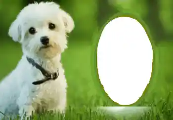 Foto-effetti della categoria Vari № 68748 Foto-effetti della categoria Vari № 68748