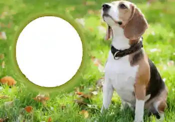 Foto-effetti della categoria Vari № 68749 Foto-effetti della categoria Vari № 68749