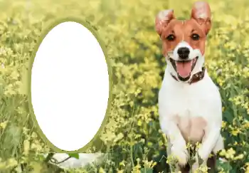 Foto-effetti della categoria Vari № 68750 Foto-effetti della categoria Vari № 68750