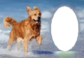 Foto-effetti della categoria Vari № 68751 Foto-effetti della categoria Vari № 68751