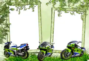 Foto-effetti della categoria Vari № 70952