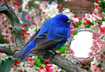 Scrittura sulla cornice: Пусть ярким будет каждый День...