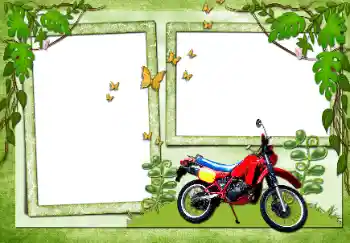 Foto-effetti della categoria Vari № 72138