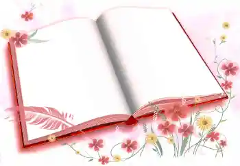 Foto-effetti della categoria Vari № 72457