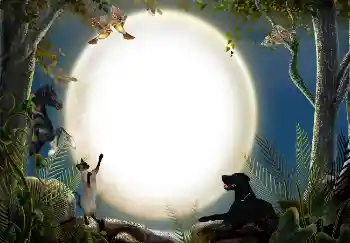 Foto-effetti della categoria Vari № 7470