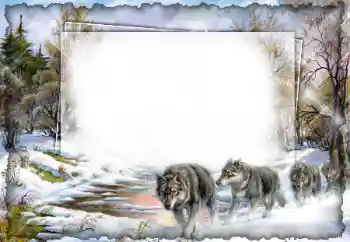 Foto-effetti della categoria Vari № 7512