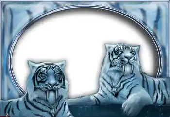 Foto-effetti della categoria Vari № 7517