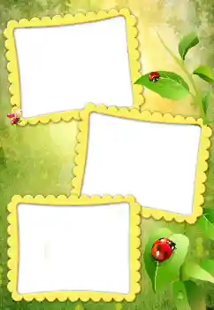 Foto-effetti della categoria Vari № 79010