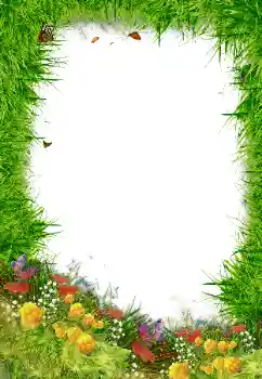 Foto-effetti della categoria Vari № 80192