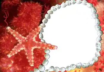 Foto-effetti della categoria Vari № 80293