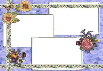 Foto-effetti della categoria Vari № 81614