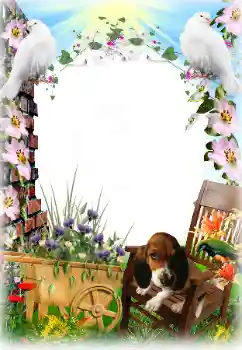 Foto-effetti della categoria Vari № 81633