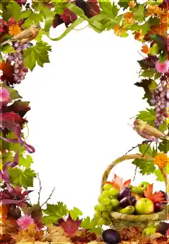 Foto-effetti della categoria Vari № 81650