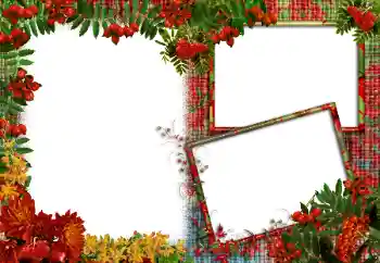 Foto-effetti della categoria Vari № 83986