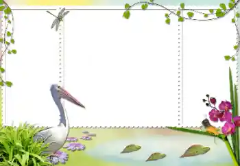 Foto-effetti della categoria Vari № 84103