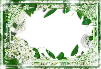 Foto-effetti della categoria Vari № 85233