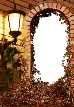 Foto-effetti della categoria Vari № 8595