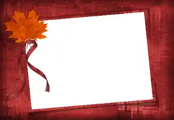 Foto-effetti della categoria Vari № 86582