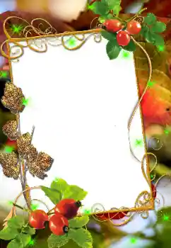 Foto-effetti della categoria Vari № 8676