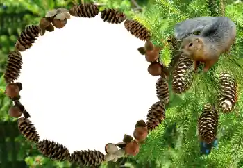 Foto-effetti della categoria Vari № 8682