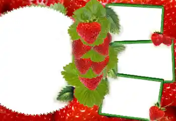 Foto-effetti della categoria Vari № 8738