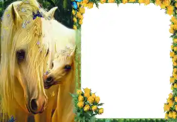 Foto-effetti della categoria Vari № 87686