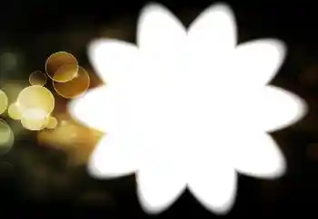 Foto-effetti della categoria Vari № 88034