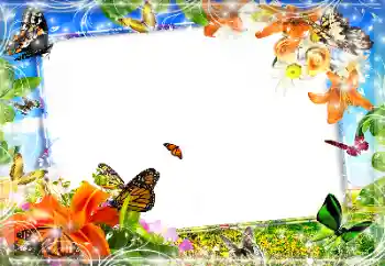 Foto-effetti della categoria Vari № 89452