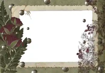 Foto-effetti della categoria Vari № 89455