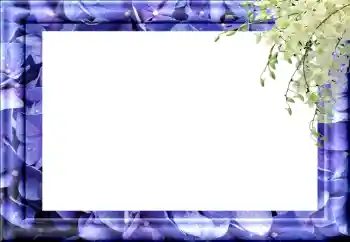 Foto-effetti della categoria Vari № 89460