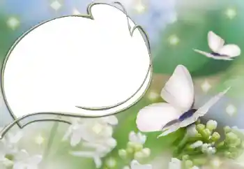 Foto-effetti della categoria Vari № 90527