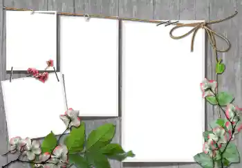 Foto-effetti della categoria Vari № 91740