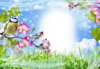 Foto-effetti della categoria Vari № 91774 Foto-effetti della categoria Vari № 91774