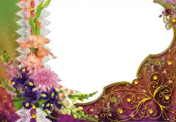 Foto-effetti della categoria Vari № 91827 Foto-effetti della categoria Vari № 91827