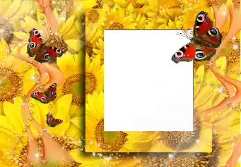 Foto-effetti della categoria Vari № 91829 Foto-effetti della categoria Vari № 91829