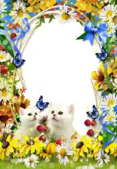 Foto-effetti della categoria Vari № 93351 Foto-effetti della categoria Vari № 93351