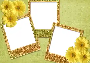 Foto-effetti della categoria Vari № 93371 Foto-effetti della categoria Vari № 93371