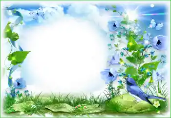 Foto-effetti della categoria Vari № 94495