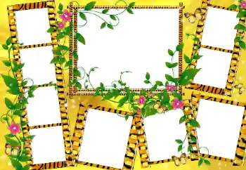 Foto-effetti della categoria Vari № 94553