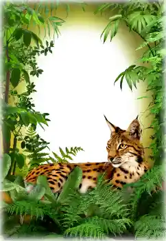 Foto-effetti della categoria Vari № 94618