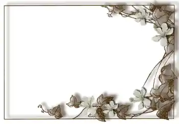 Foto-effetti della categoria Vari № 94748