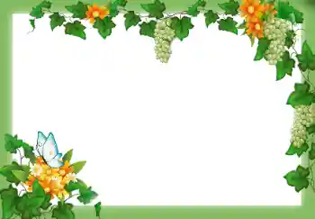 Foto-effetti della categoria Vari № 9658