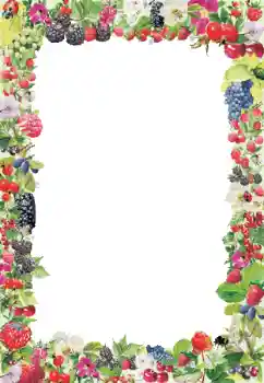 Foto-effetti della categoria Vari № 9790