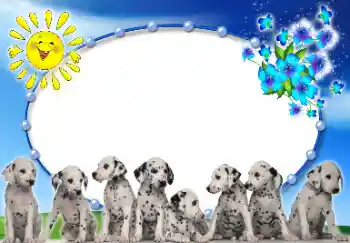 Foto-effetti della categoria Vari № 9907