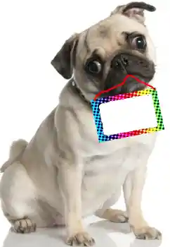 Foto-effetti della categoria Vari № 99781