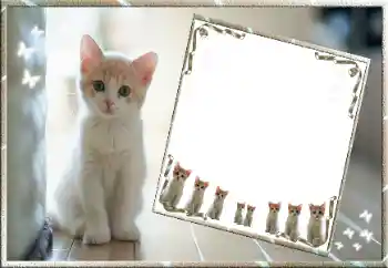 Foto-effetti della categoria Vari № 99811