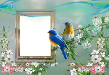 Foto-effetti della categoria Vari № 99895