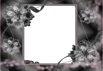 Foto-effetti della categoria Nastri di lutto № 114453 Foto-effetti della categoria Nastri di lutto № 114453